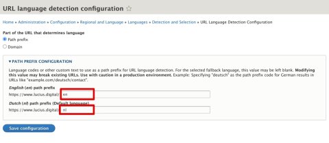 Drupal URL language detection configuration