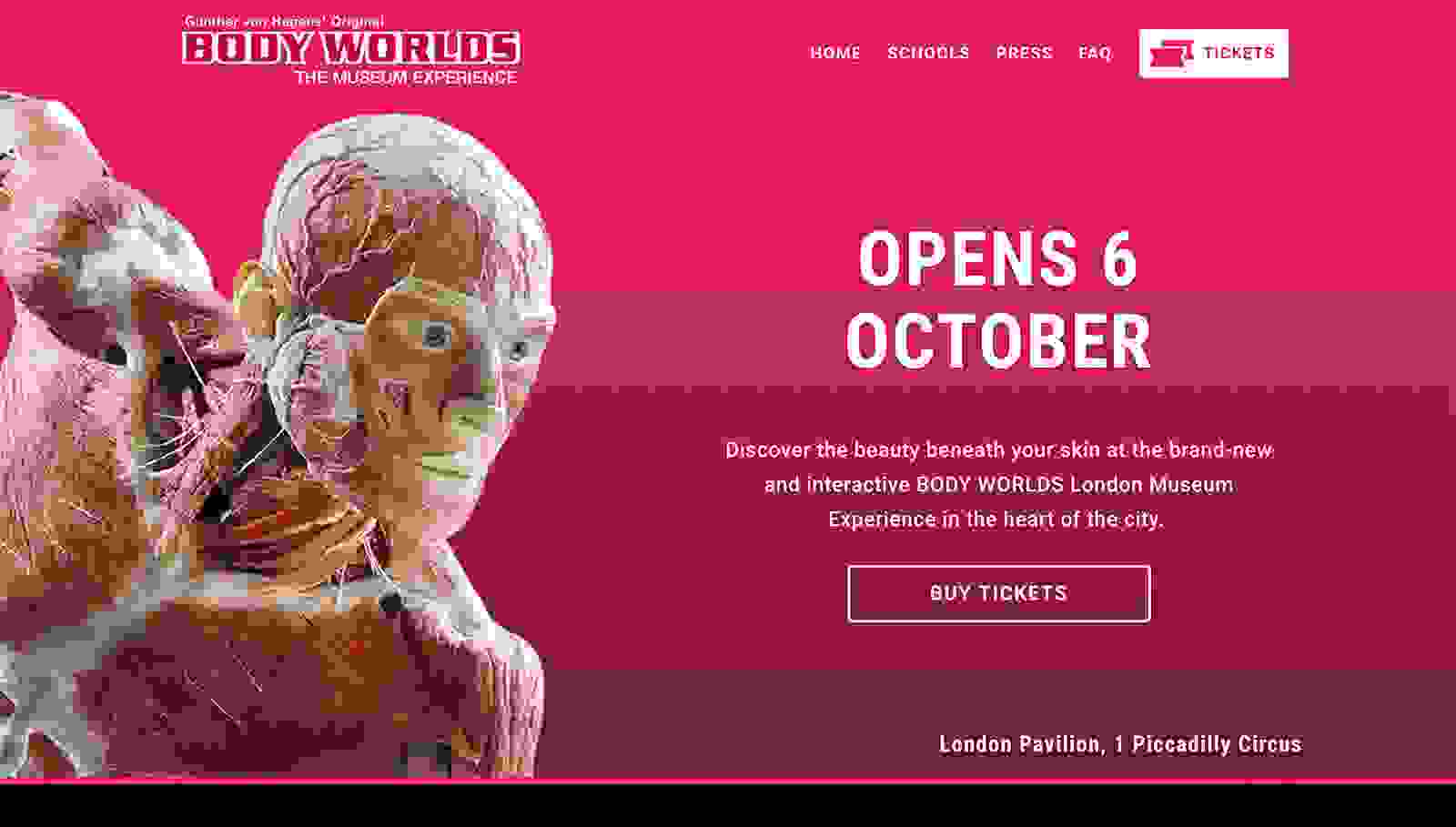 Body Worlds Screenshot Website